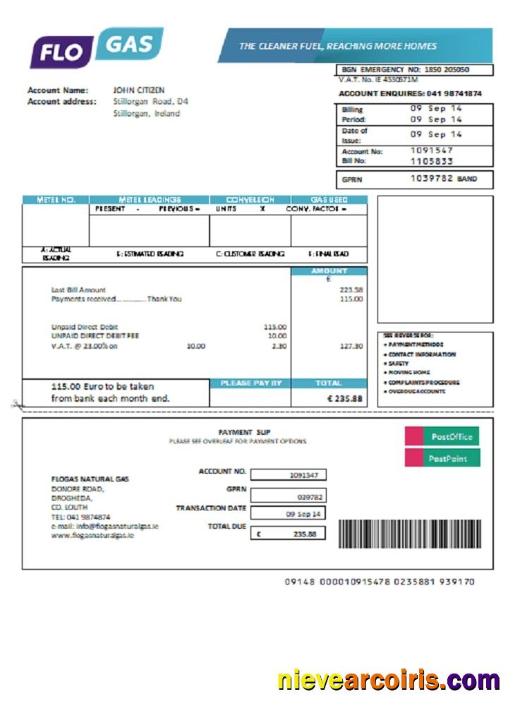 Ireland Flogas Natural Gas utility bill